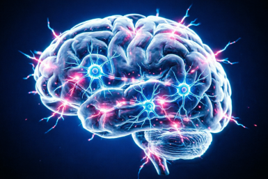 Ваш уровень интеллекта бьёт рекорды, если ответите хотя бы на 6 из 8 – тест