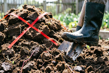 Огородники, в эти 6 дней апреля сажать запрещено — вырастет лишь гниль: вот верные даты для посадок
