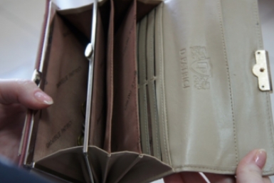 Пустой кошелек Ольга Бойко, ИА ЕАОmedia