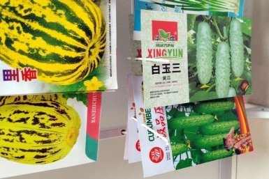 Семена Россельхознадзор Забайкалья