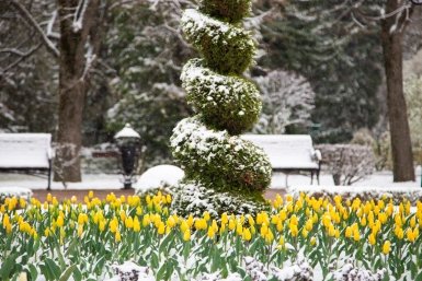 Зима возвращается Артём Хорошилов  , ИА Stavropol.Media