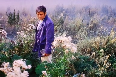 Проверь знание советского кино, угадай фильм по одному кадру — ТЕСТ