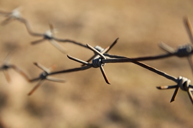 Колючая проволока. Колония. Юлия Ушакова, ИА IrkutskMedia