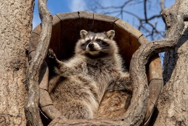 Тематическое фото Мария Смитюк, ИА PrimaMedia.ru