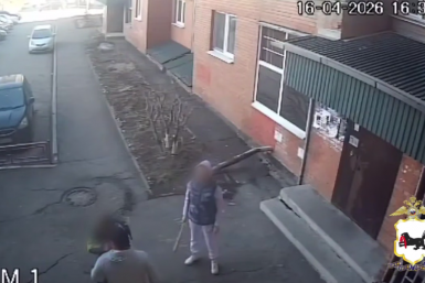 Женщина с битой не при делах: мужчину в Топкинском Иркутска нокаутировал ее знакомый