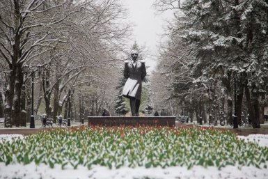 Снегопад Артём Хорошилов  , ИА Stavropol.Media