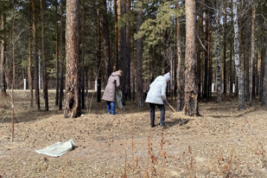 Уборка скверов и парков началась в Ангарске