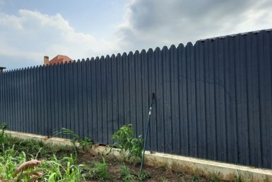 Забор между участками Виктория Процкая, ИА PrimaMedia