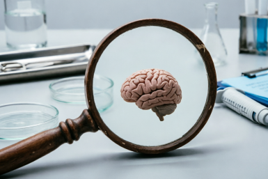 Ваш интеллект под лупой не разглядеть, если ошибетесь хотя бы раз – тест