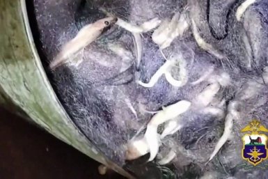 Браконьера с крупным уловом рыбы задержали на Байкале