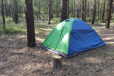 10 дней в лесу, которые заменят год у психолога