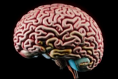 Лишь сверхразумы осилят этот ТЕСТ на 100%: вы в их числе?