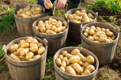 Тематическое фото Создано с помощью ИИ