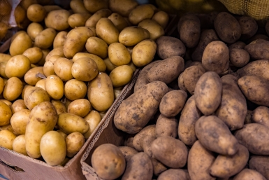 Кидаю пакет в погреб — и сырости как не бывало: картошка не гниет до осени