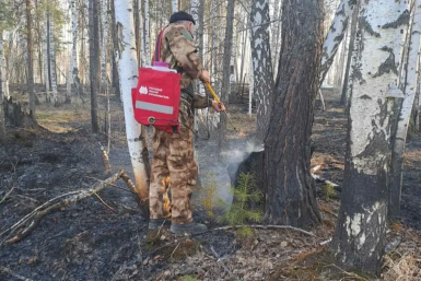 Один лесной пожар ликвидировали в Иркутской области