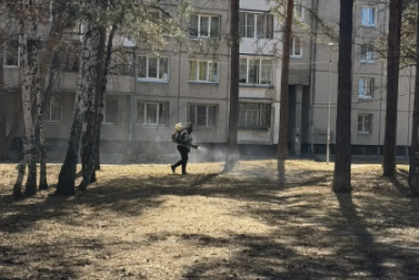 Противоклещевая обработка стартовала в общественных пространствах Ангарска