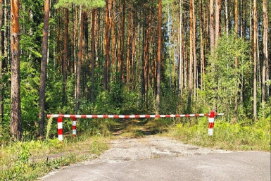 В Иркутской области ограничили посещение лесов из-за угрозы пожаров