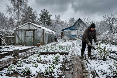 Дачный сезон под угрозой — в Иркутскую область идут заморозки создано с помощью ИИ