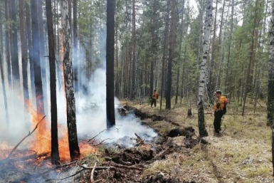 Лесной пожар площадью 6 га продолжают тушить в Иркутской области