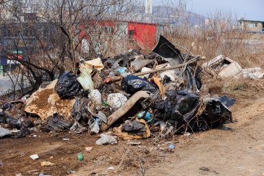 Свалка на берегу Ангары возле Мегета стала поводом для прокурорской проверки