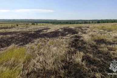 Курение привело к ландшафтному пожару в Зиминском районе