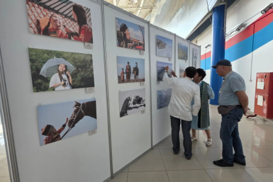 На &quotАлтаргане-2026&quot представили 140 фотографий из пяти стран и регионов UlanMedia