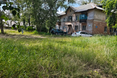 Дворы Ангарска в "джунглях": где красивый газон превратился в заросли – реакция жителей