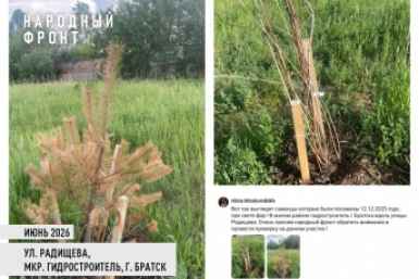 Жалобы братчан Народный фронт в Иркутской области