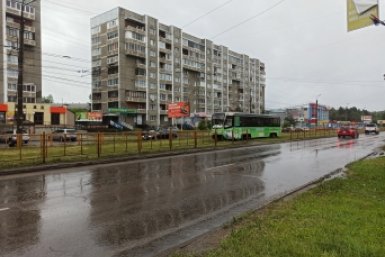 Жительница Ангарска пожаловалась на старые тополя, ямы во дворах и детскую площадка