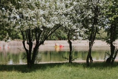 Деревья у воды Юлия Ушакова, ИА IrkutskMedia