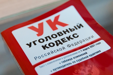 Глава СКР затребовал доклад по делу о нападении бездомных собак на мальчика в Усть-Илимске Илья Аверьянов, ИА PrimaMedia