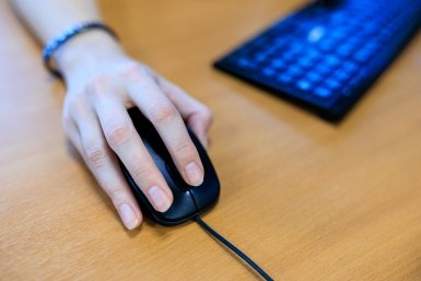 Эти ниши пока не являются массовыми, но стабильный рост спроса фиксируется уже сейчас Евгений  Кулешов, ИА PrimaMedia.ru