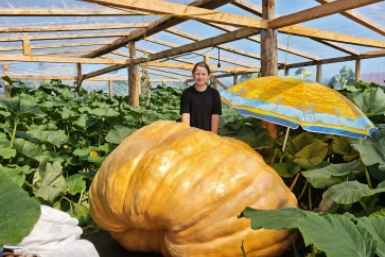 Тыква-гигант Анастасия Вострецова, ИА AngarskMedia