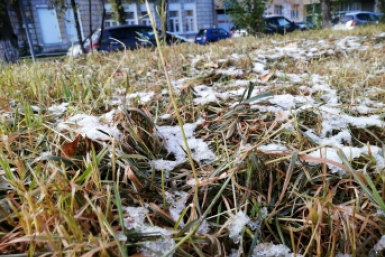 В Иркутской области зафиксировали первые заморозки — температура опустилась до -2°С