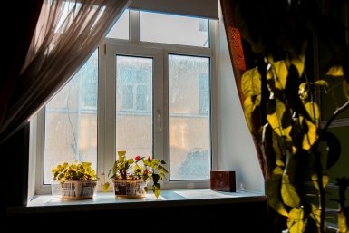 Эти 5 хитростей при мытье окон облегчили жизнь — стёкла чистые, что аж от радости прыгаю