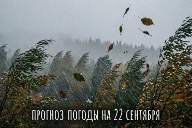 Дожди, туманы и порывистый ветер прогнозируют в Иркутской области 22 сентября