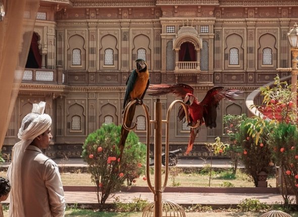 Новость дня