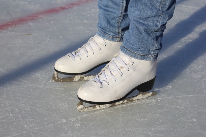 Ледовый каток Александр Музыка, ИА EAOMedia