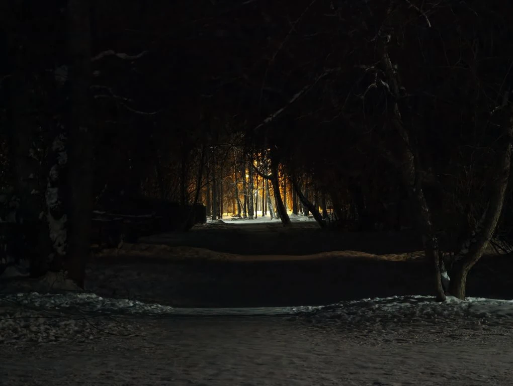 Пешеходная дорожка между домом №9 и школой №29 в 15-м микрорайоне Анастасия Вострецова, корр. ИА AngarskMedia