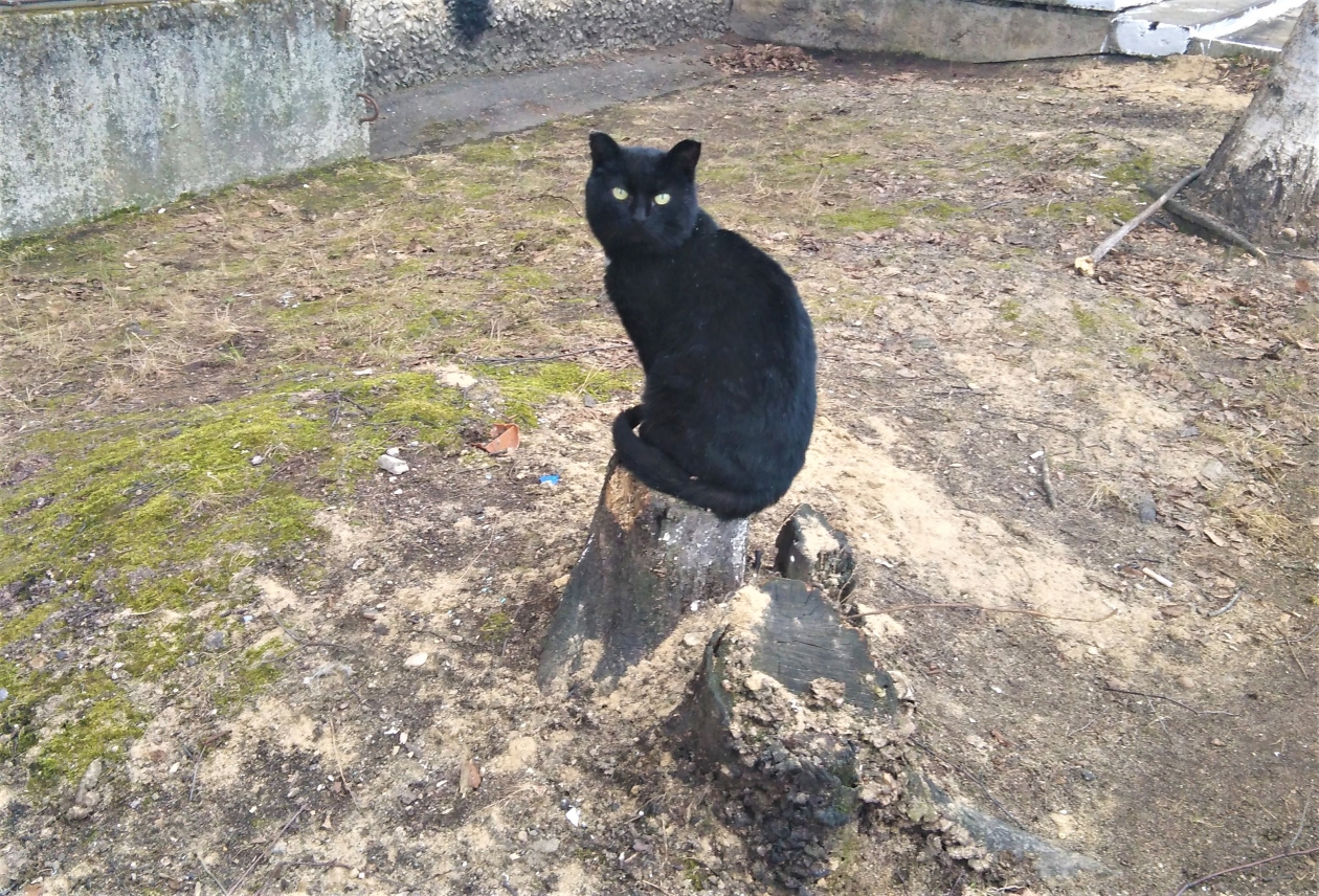 Тематическое фото ИА EAOMedia