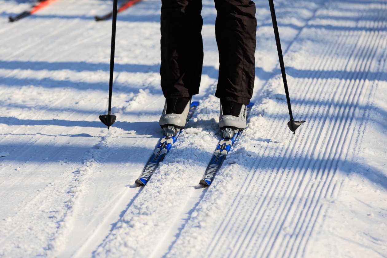 Лыжи Евгений  Кулешов, ИА PrimaMedia.ru