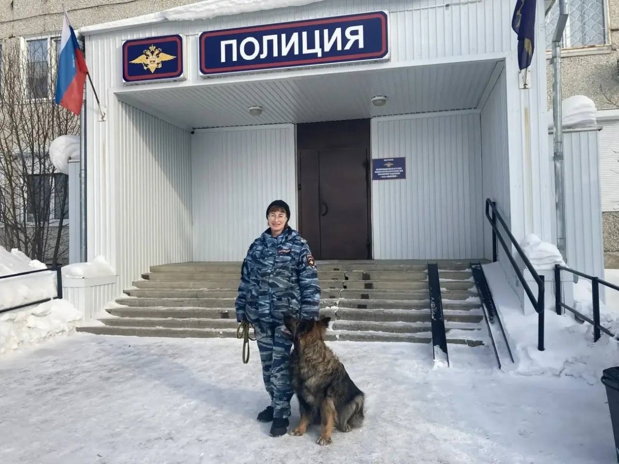 Служебный пес выследил похитителя камеры видеонаблюдения в Усть-Илимске Пресс-служба ГУ МВД РФ по региону