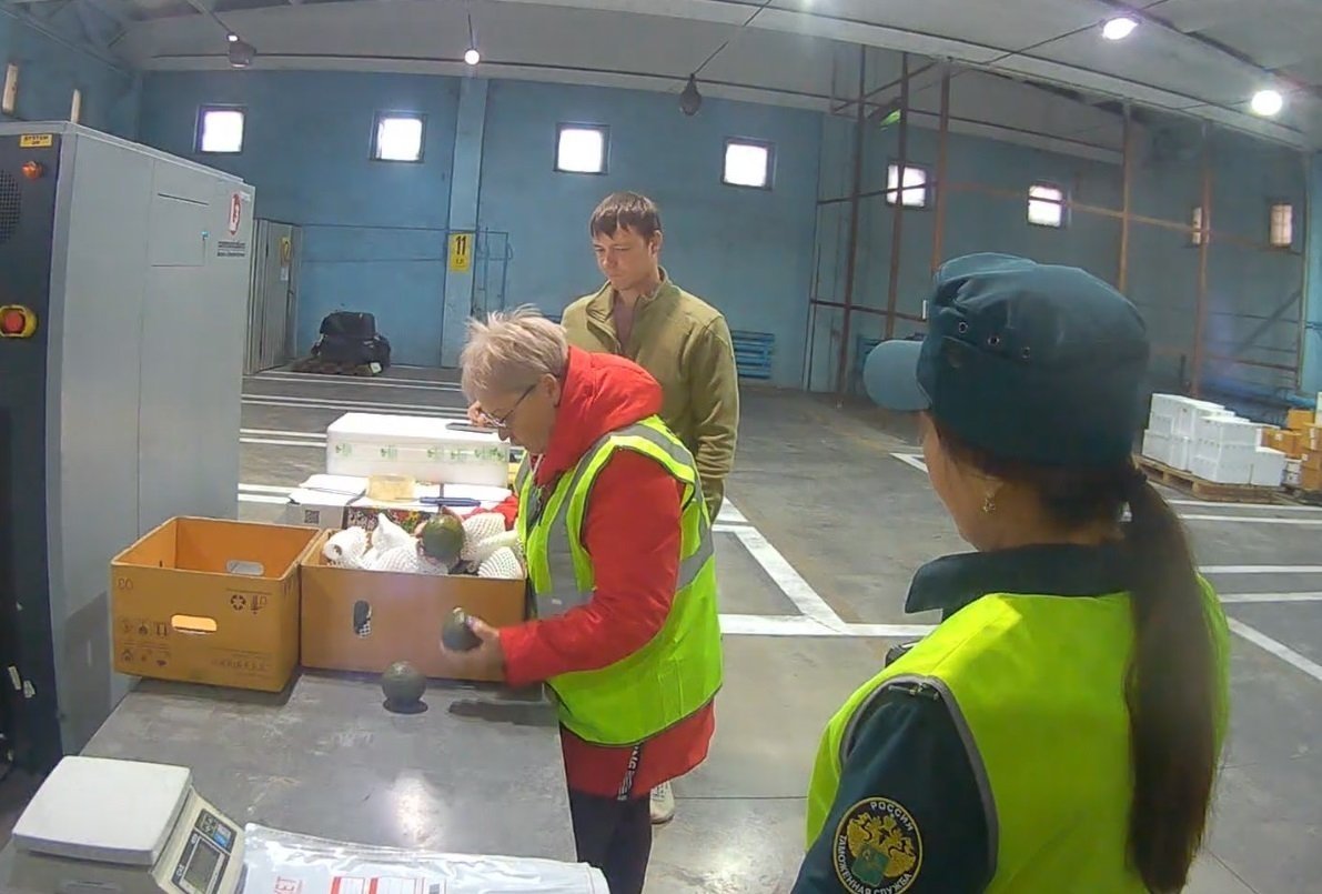 Манго, дуриан и маракуйя: в Иркутск доставили 3 тонны экзотических фруктов Пресс-служба Управления Россельхознадзора по Иркутской области и Республике Бурятия