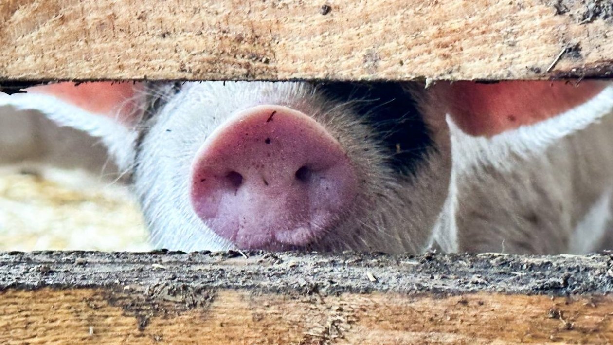 Тематическое фото Анастасия  Москалева, ИА ChitaMedia.su