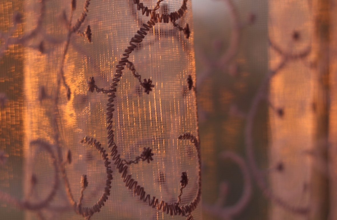 Тематическое фото unsplash.com