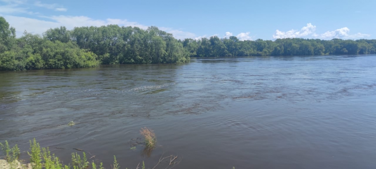 Паводок Марина  Померанцева , ИА EAOMedia