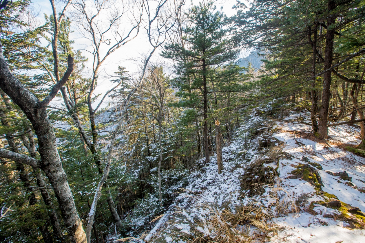 Лес Мария Смитюк, ИА PrimaMedia