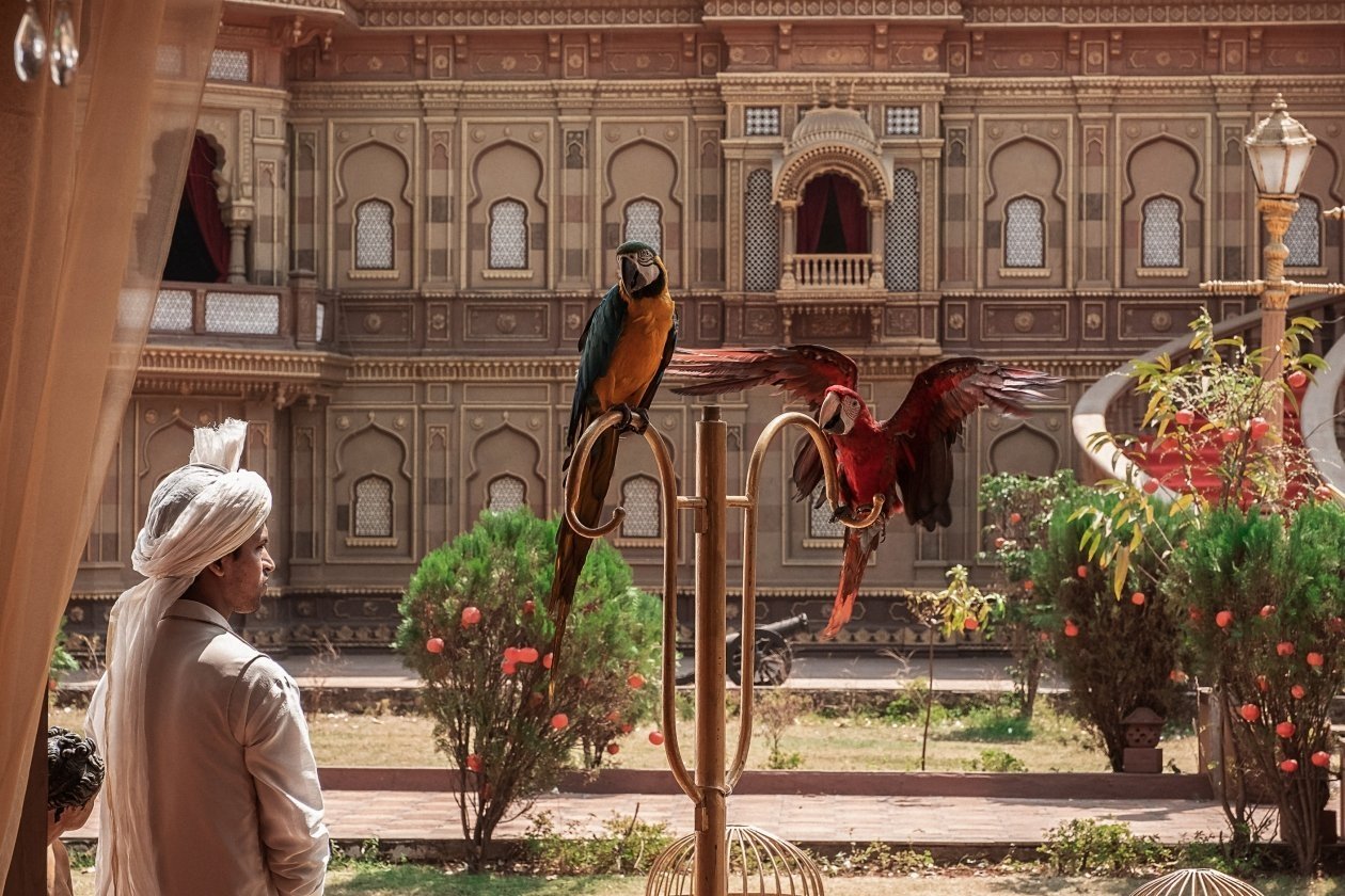 Комедия ТНТ (16+)