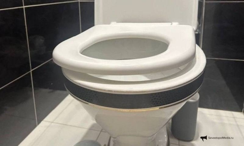 унитаз ИА SevastopolMedia