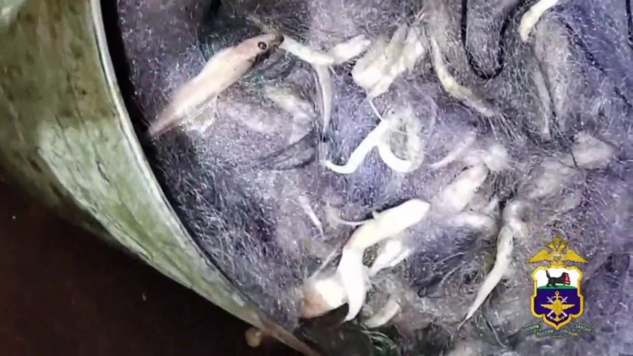 Браконьера с крупным уловом рыбы задержали на Байкале Пресс-служба Восточно-Сибирского ЛУ МВД России на транспорте